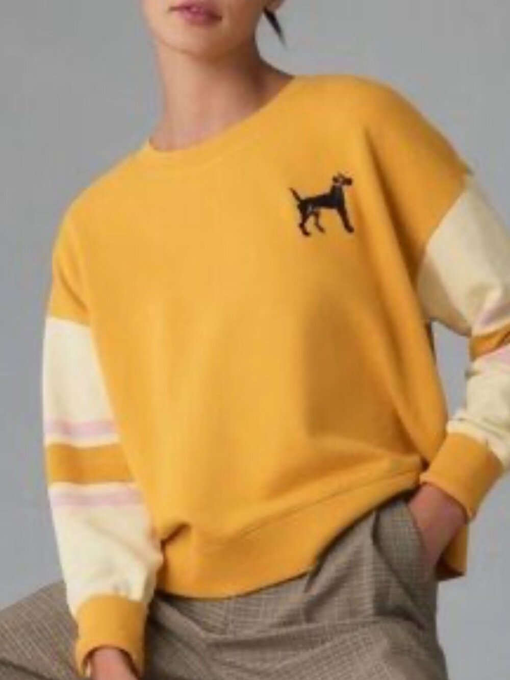 Anthropologie Maeve crewneck colorblock dog sweatshirt